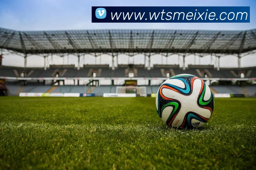 星空网网页版入口品牌故事