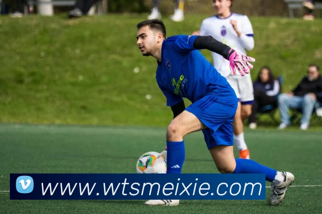 星空网网页版入口服务体系