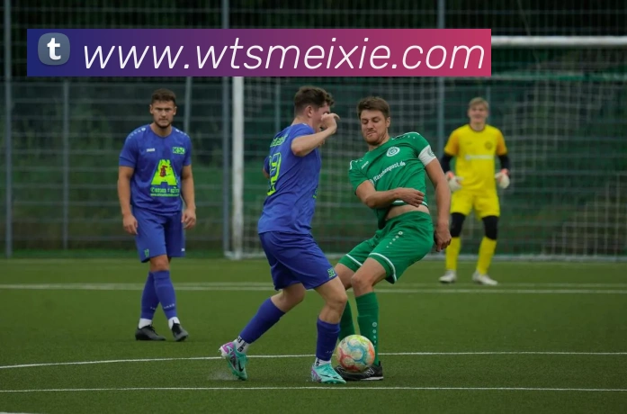 星空网网页版入口APP 体育赛事宣传图